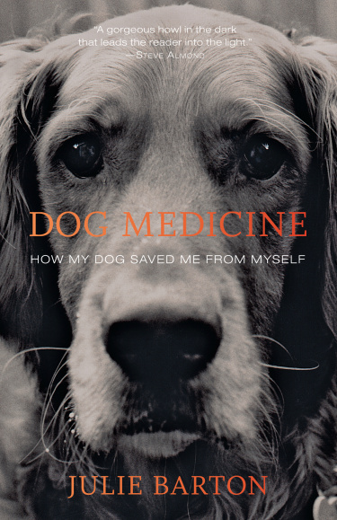 dog_medicine_cvr